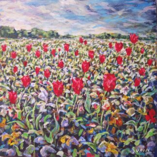 Tulip Field
