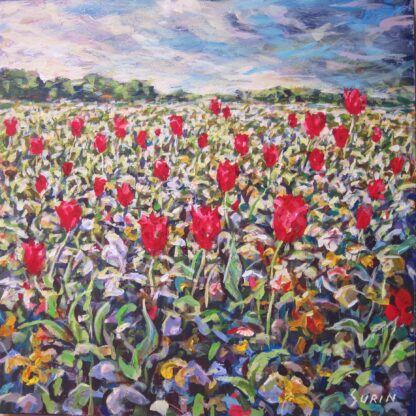Tulip Field
