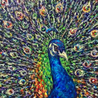 Blue Peacock