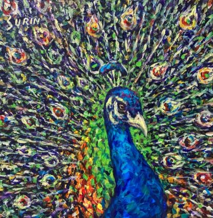 Blue Peacock