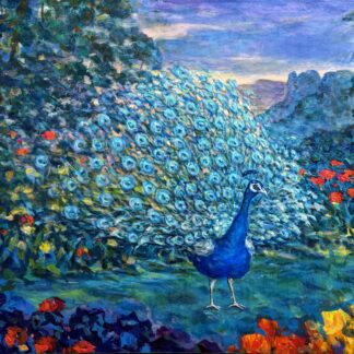 Blue Peacock