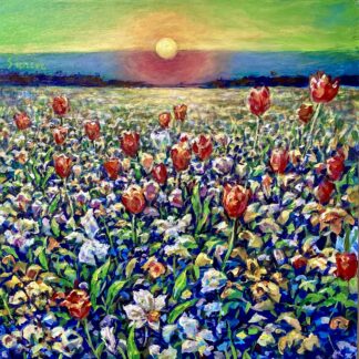 Tulip Fields