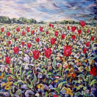 Tulips