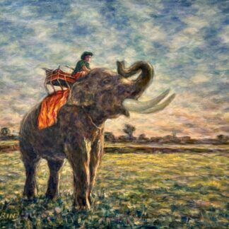 Glorious Elephant